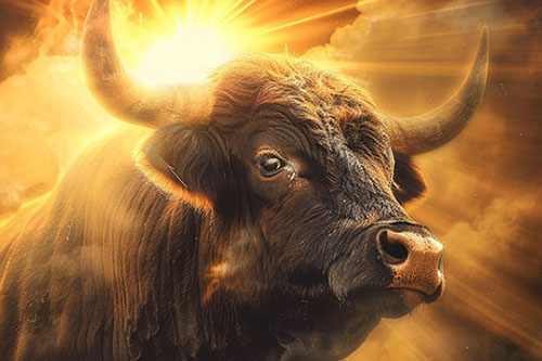 1-1-fire-bull.jpg